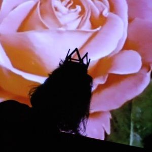 Meet your Posher, Avery